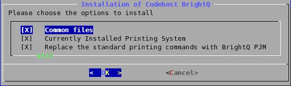 Terminal installer showing common files, the detected printing system, and command replacement options