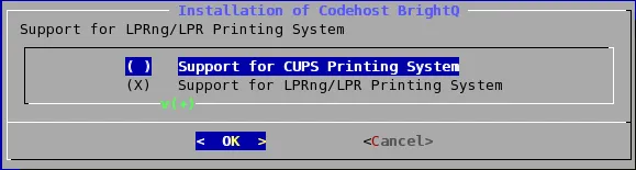 Terminal installer offering CUPS and LPRng/LPR printing systems