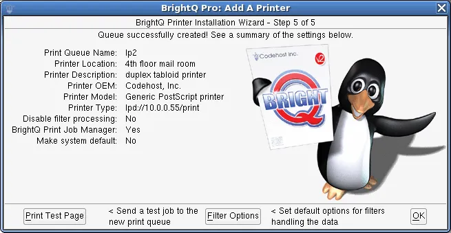 Printer Installation Wizard step 5 summarizing the configured queue with Test Page and Filter Options buttons