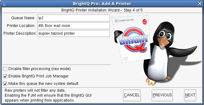 Printer Installation Wizard step 4 showing queue name, location, description, filtering, and default settings